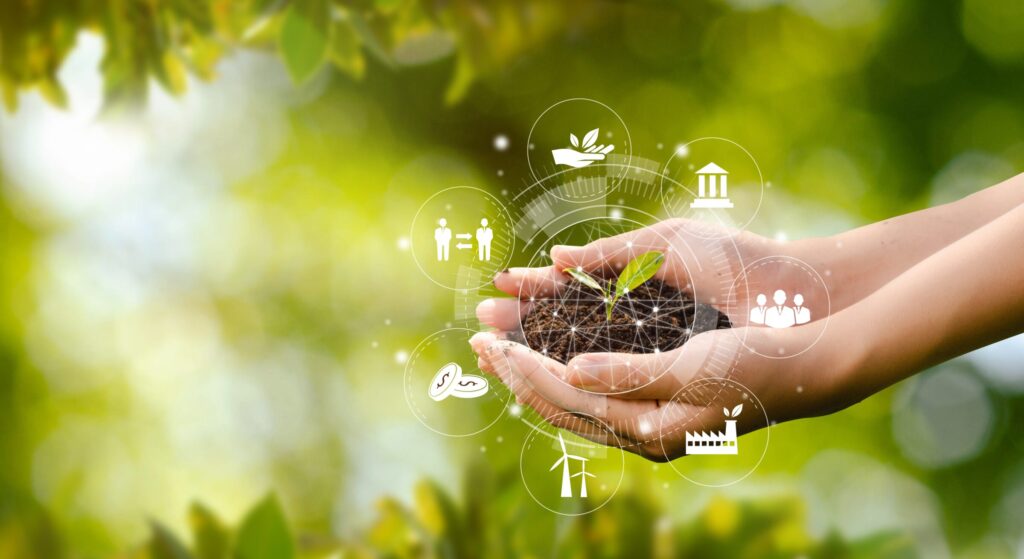 Top Green Startups Leading the Sustainability Revolution